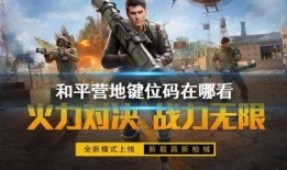 和平营地最新爆料,揭秘神秘项目，共创和谐未来