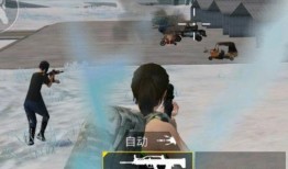 吃鸡爆料女玩家视频,女玩家爆料幕后精彩瞬间